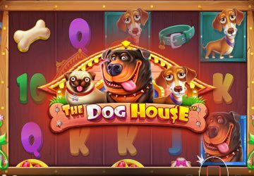 Microgaming - игровой автомат онлайн от Various с RTP 95.2%